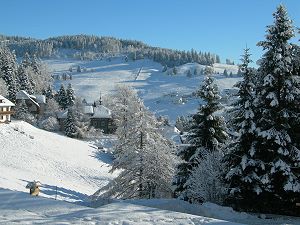 Todtnauberg